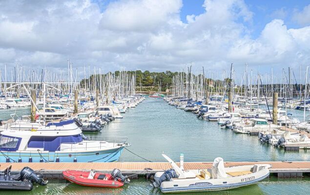 Les Guérins - Photo 43
