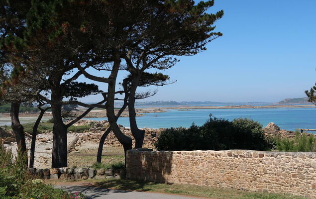 Ty Poulpry - Photo 36