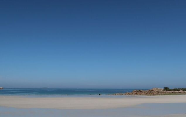 Ty Poulpry - Photo 37