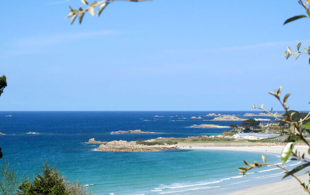 Ty Poulpry - Photo 39