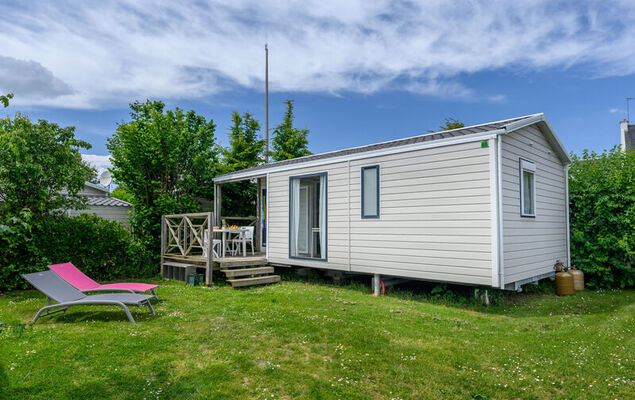 L'avocette - Photo 20