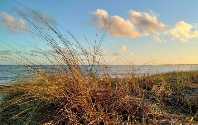 La Trélennoise - Photo 29